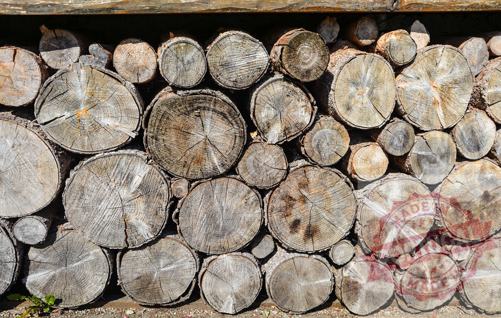 Stacked firewood logs forming a rustic wood background | Stacked firewood logs showcasing rustic wood and natural texture - Realisiert mit Pictrs.com