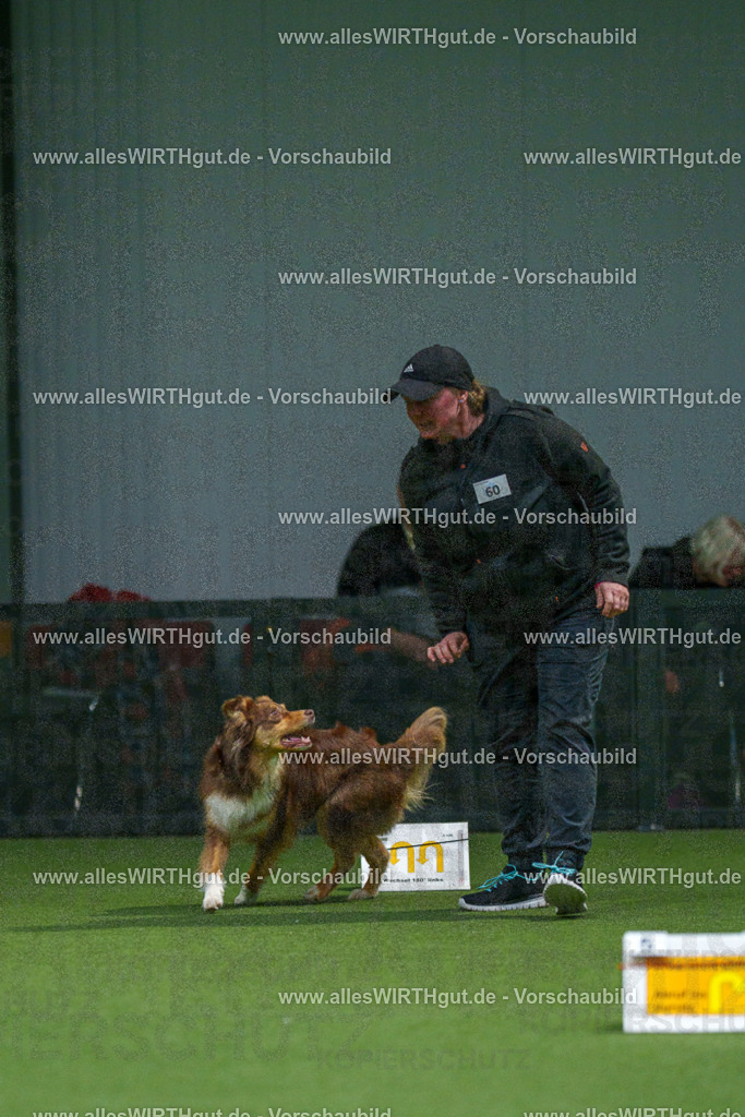 7R507241 | Professionelle Tierfotografie in Mönchengladbach von Daniel Wirth (allesWIRTHgut). Liebevolle & natürliche Bilder von Hunden & Katzen für unvergessliche Erinnerungen.