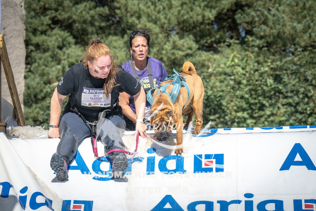 1457_ZZ96591 | kk-dogfotos