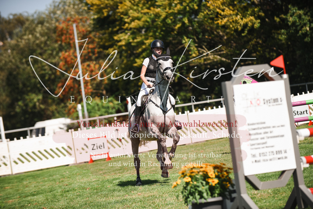 DSC_2906 | Pferde- und Turnierfotografie in Westsachsen. Pferdeportraits, Auftragszeichnungen und intuitive Kunst.