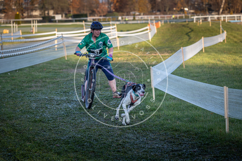 CaniXpix_0L8A2359 | Hundefotografie, Tierfotograf, Pfotenfotografie, Fotoshooting Hund, Hunde Portrait, Hundesport, Hundeportraits, Heideshooting, Hunde, Sportfotograf, Hundefotograf, Turnierhundsport, THS,  - Realisiert mit Pictrs.com