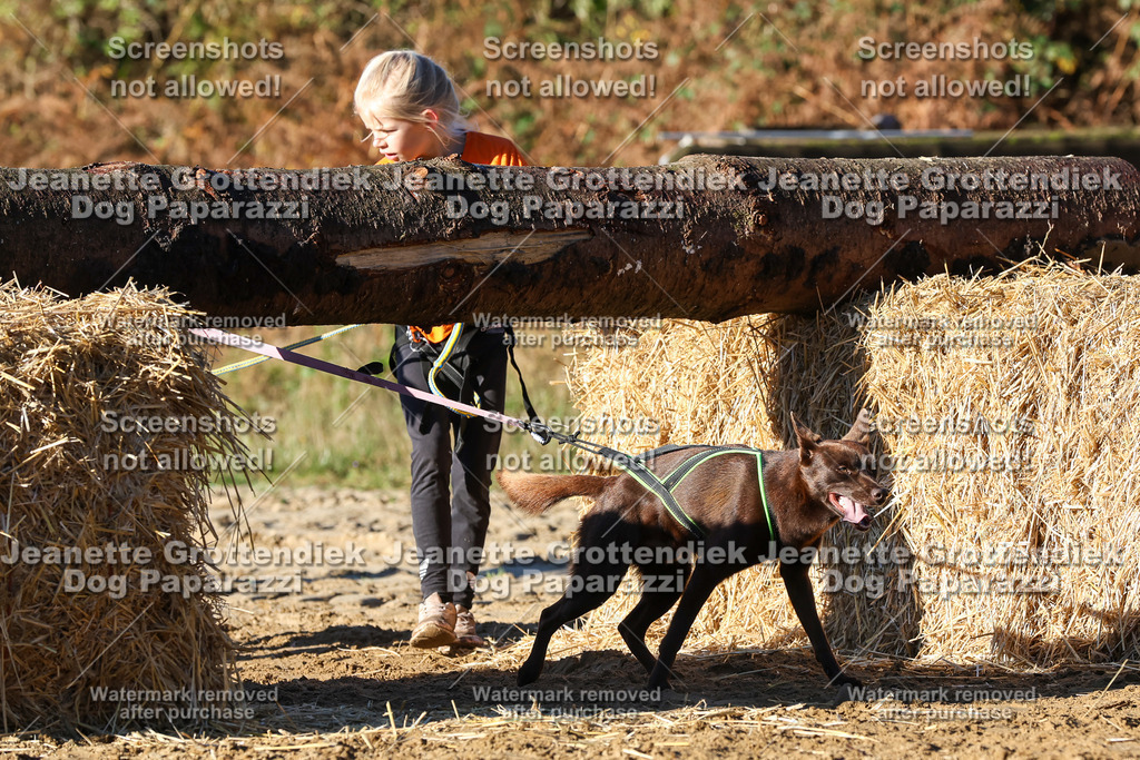 Dog Paparazzi - Strongdog 10-25-1405 | Dog Paparazzi Jeanette Grottendiek Fotografie & Videografie - Realisiert mit Pictrs.com