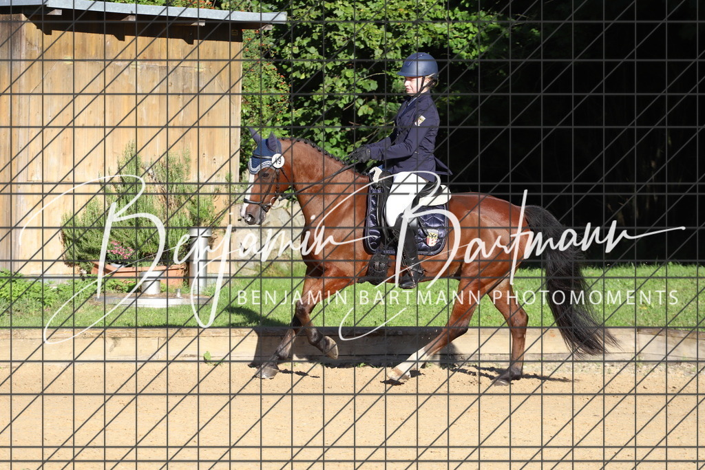 IMG_4795 | Benjamin Bartmann Photomoments