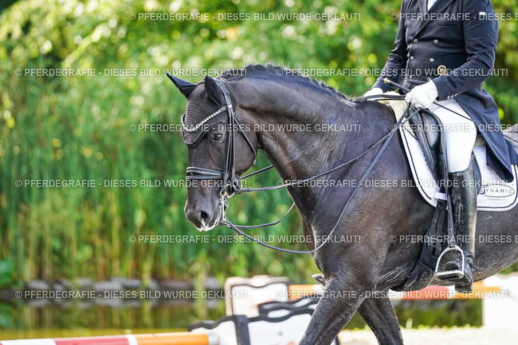 DSC00879 | Pferdegrafie