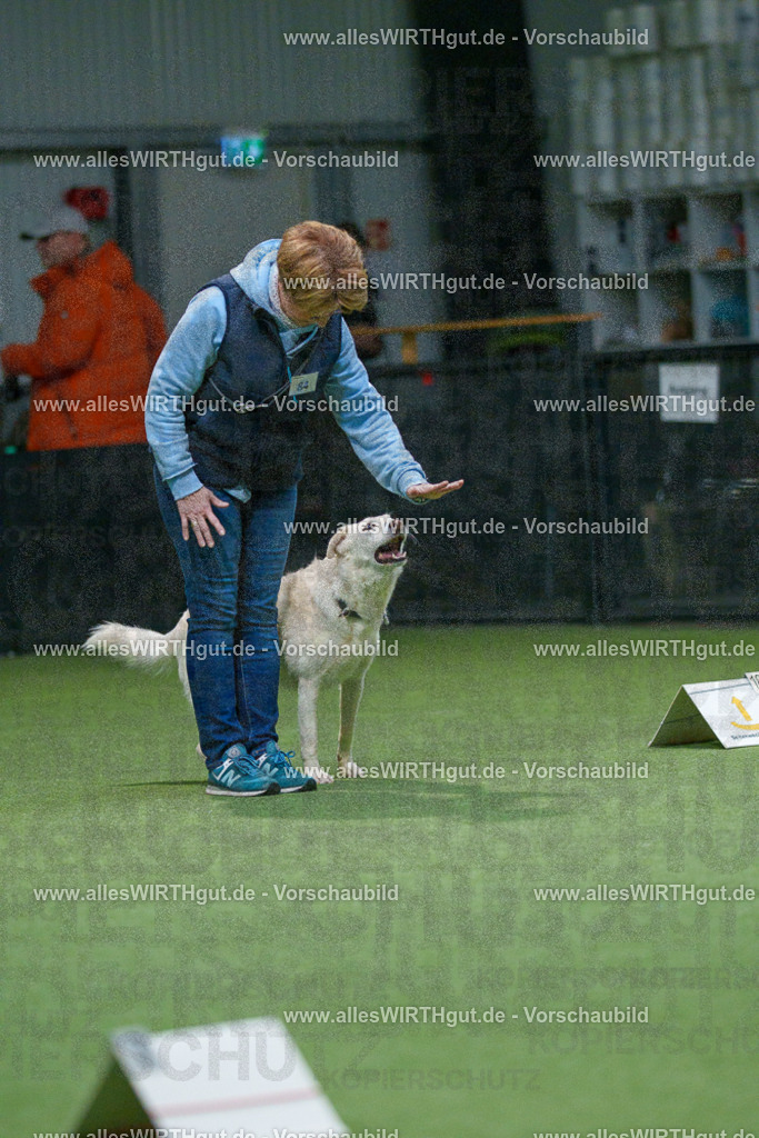 7R507927 | Professionelle Tierfotografie in Mönchengladbach von Daniel Wirth (allesWIRTHgut). Liebevolle & natürliche Bilder von Hunden & Katzen für unvergessliche Erinnerungen.