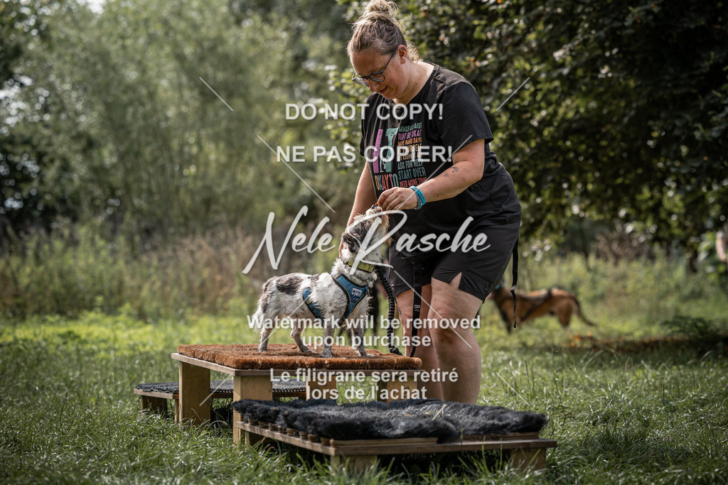 nelerasche_SoLauf_219 | nelerasche