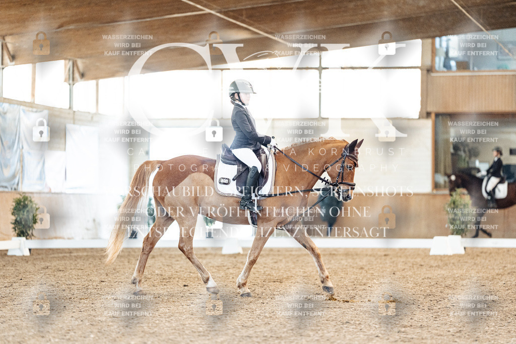 CK907977 | Turnierfotografie Pferdefotografie Trier Rheinland-Pfalz Pferdesport Reitsport Tierfotografie Sportfotografie Pferdevideo Pferdevideografie Equestrianvideography equestrianphotography  - Realized with Pictrs.com
