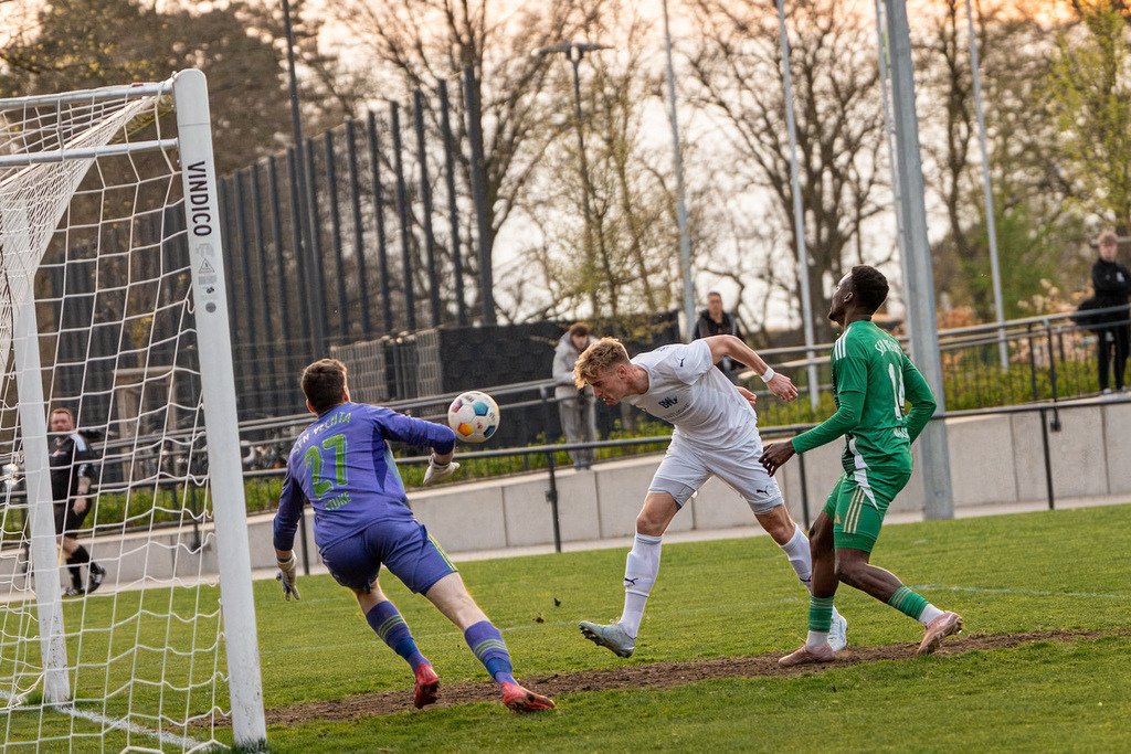 Fußball I Herren I Saison 2025-2026 I Landesliga Weser-Ems I 23. Spieltag I SFN Vechta - BW Lohne II I 01412 | jns.sportfotos - Realisiert mit Pictrs.com