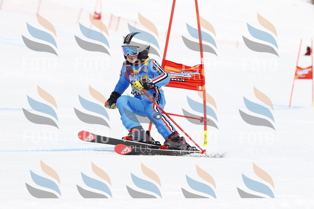 _U3G5656 | holidayphoto