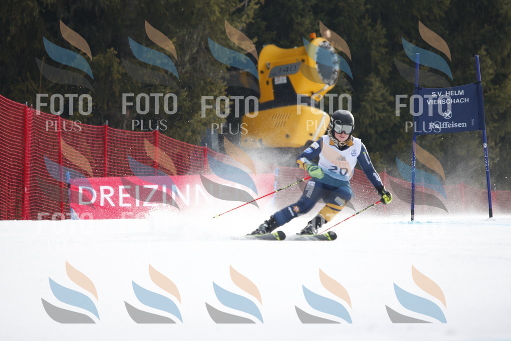 D4847 | holidayphoto