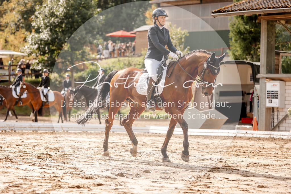 3I6A7028 | Stimmungsvolle Portraits und Reitsportfotografie im Ruhrgebiet und im Münsterland.

Pferdefotografie, Hundefotografie, Tierfotografie, Reportagen, Portraits von Tier und Mensch, Turnierfotografie in Bochum, Recklinghausen, Marl, Haltern am See, Dülmen.. - Realisiert mit Pictrs.com