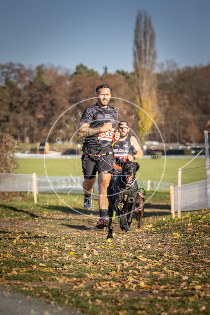 CaniXpix_DV3A0575 | Hundefotografie, Tierfotograf, Pfotenfotografie, Fotoshooting Hund, Hunde Portrait, Hundesport, Hundeportraits, Heideshooting, Hunde, Sportfotograf, Hundefotograf, Turnierhundsport, THS,  - Realisiert mit Pictrs.com