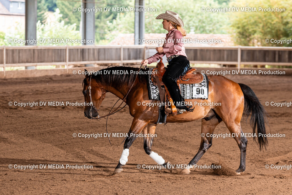 Erbach Tag 2-722 | dv-media-shop - Realisiert mit Pictrs.com