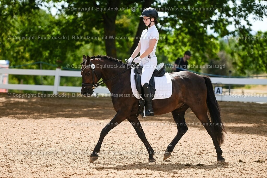 20230715_09_Dressur-WB_0221 | equistock