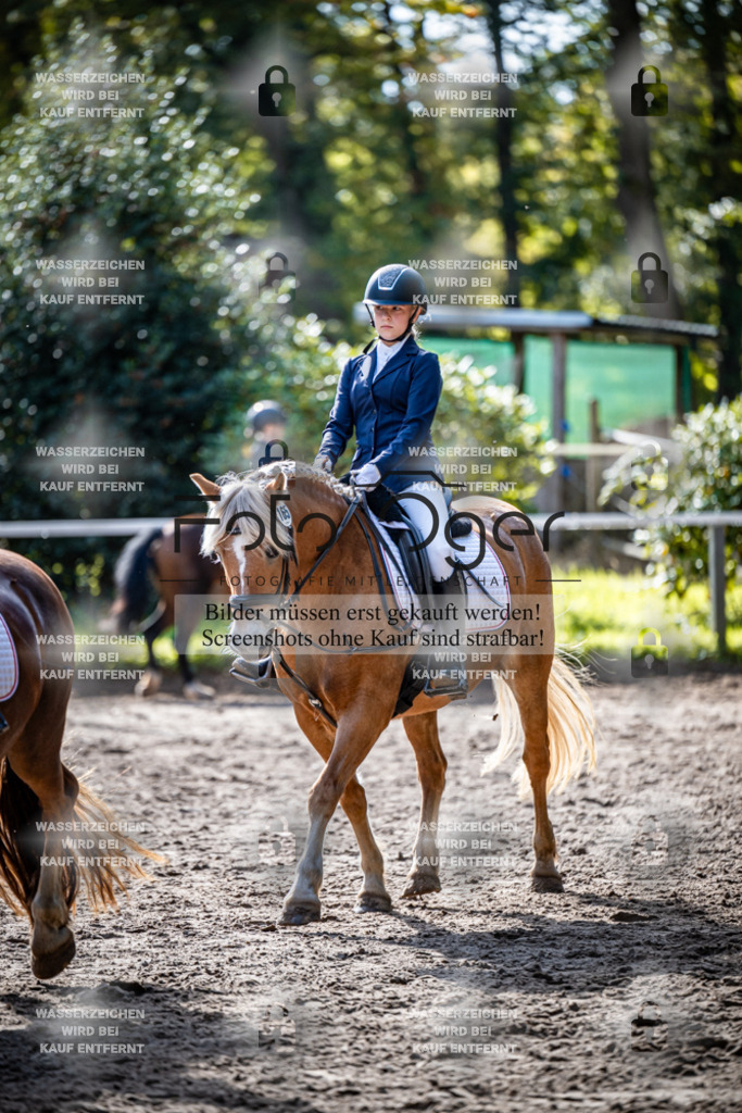 2026-10-Helle-20-4-0035 | Entdecke hochwertige Reitturnierfotos von Foto Oger. Professionell, emotional und authentisch – jetzt Lieblingsmomente im Shop bestellen.Deutschlandweite Turnierfotografie. - Realisiert mit Pictrs.com