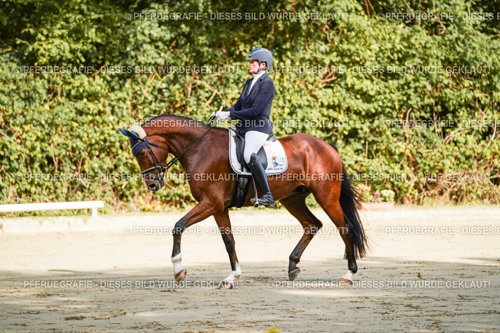 DSC07670 | Pferdegrafie