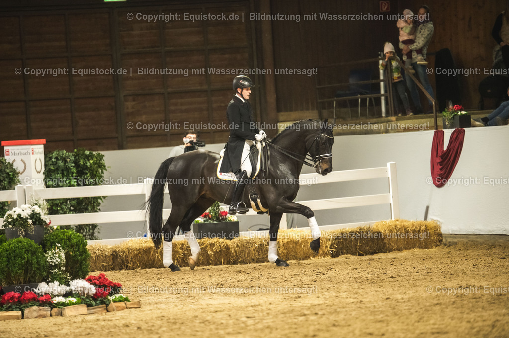 20240302_Hengstvorstellung_Marbach_TOMsPiC_1474 | equistock
