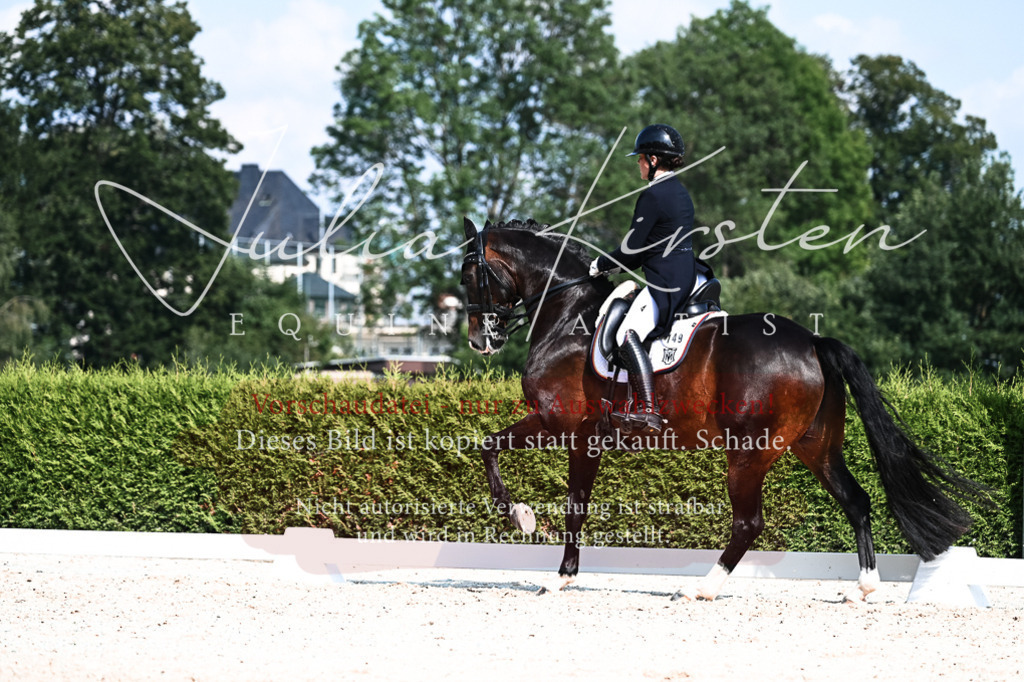 DSC_3383 | Pferde- und Turnierfotografie in Westsachsen. Pferdeportraits, Auftragszeichnungen und intuitive Kunst.