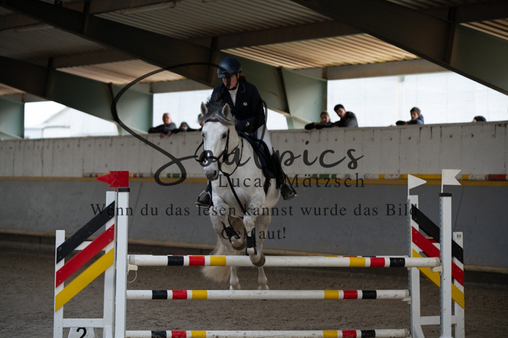 A7V08312 | Pferdefotograf