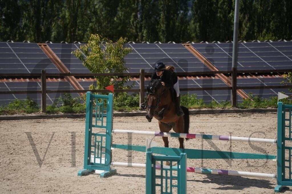 tgbhsonntag (730) | d.tail Visions - Shop - Realisiert mit Pictrs.com