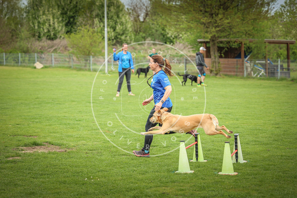 Pfotenfotografie_0L8A9575 | Hundefotografie, Tierfotograf, Pfotenfotografie, Fotoshooting Hund, Hunde Portrait, Hundesport, Hundeportraits, Heideshooting, Hunde, Sportfotograf, Hundefotograf, Turnierhundsport, THS,  - Realisiert mit Pictrs.com