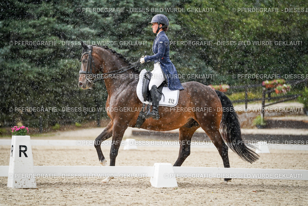 DSC08041 | Pferdegrafie