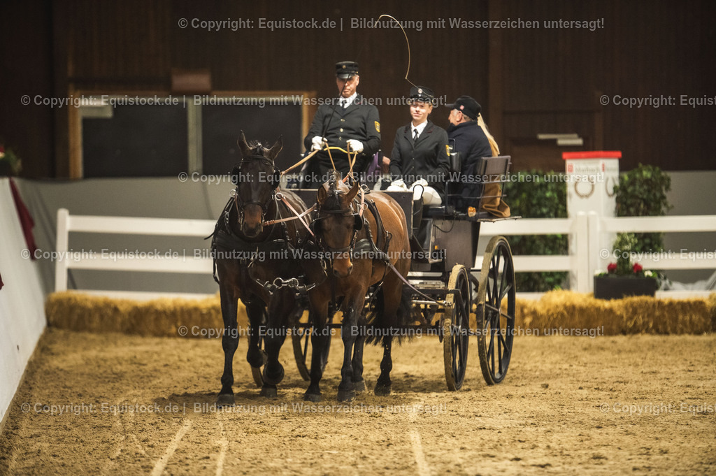 20240302_Hengstvorstellung_Marbach_TOMsPiC_0757 | equistock