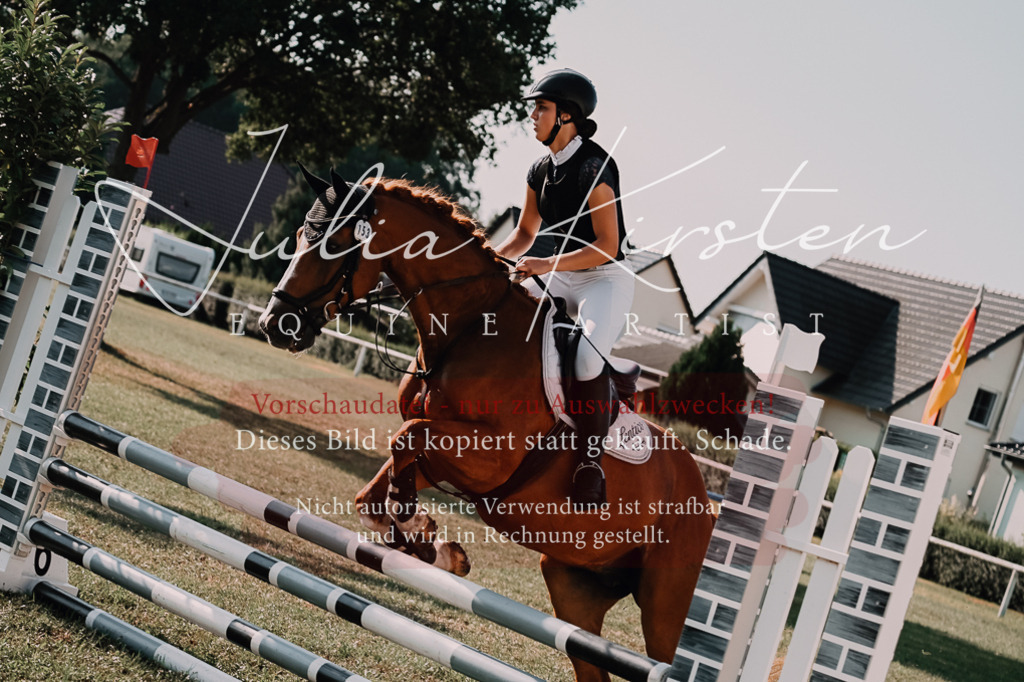 DSC_4651 | Pferde- und Turnierfotografie in Westsachsen. Pferdeportraits, Auftragszeichnungen und intuitive Kunst.