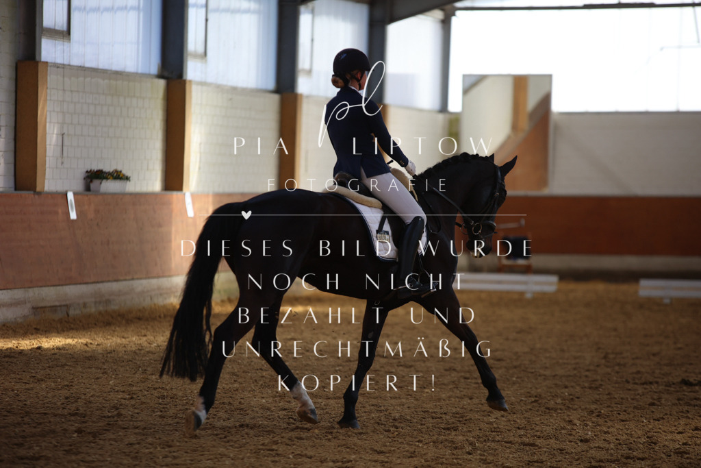 IMGT7832 | pl-fotografie