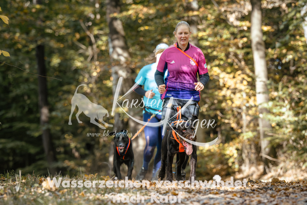1222_ZZ95010 | kk-dogfotos