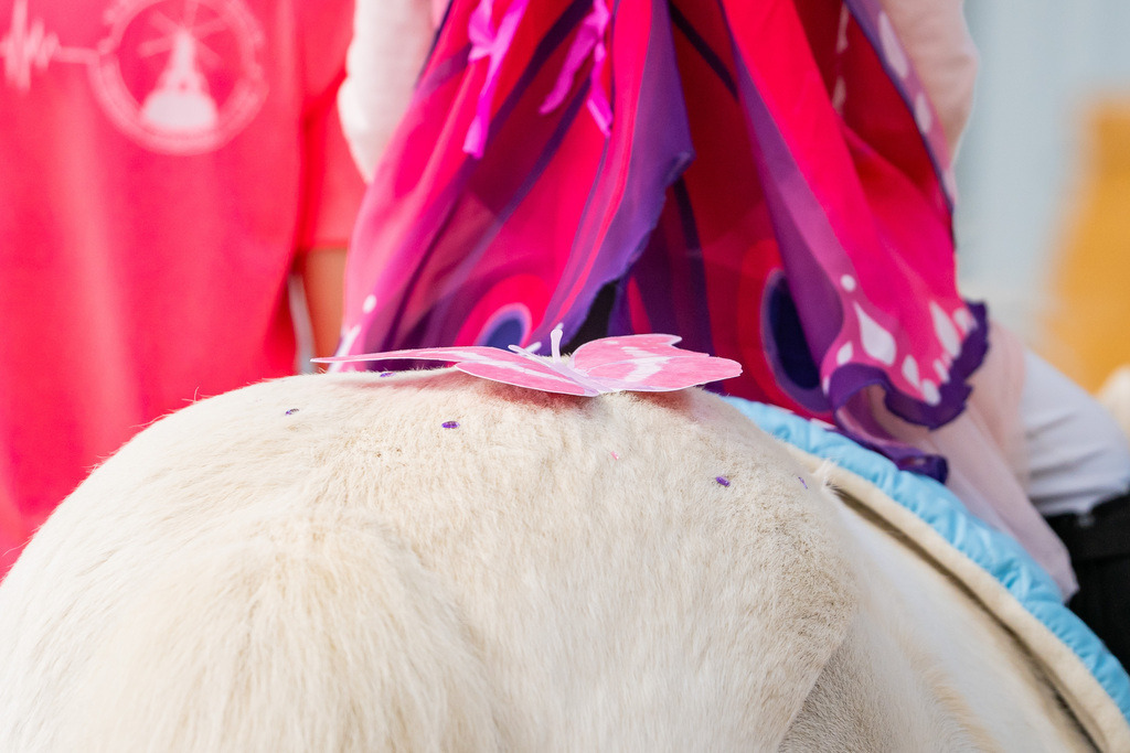 DSC00091 | Pferdegrafie