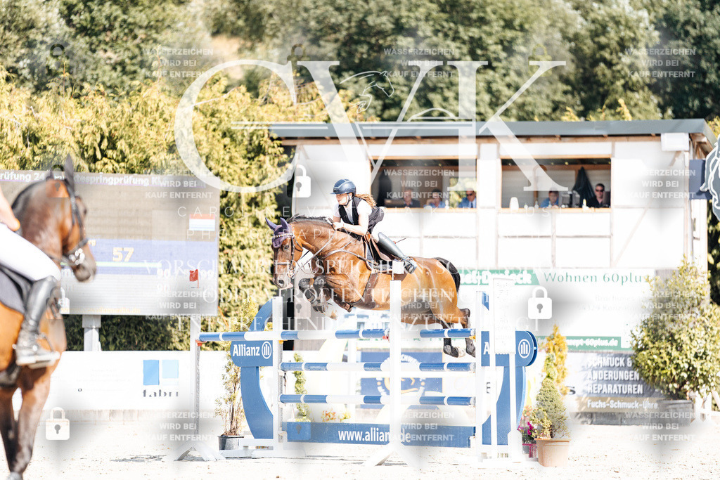 CK909115 | Turnierfotografie Pferdefotografie Trier Rheinland-Pfalz Pferdesport Reitsport Tierfotografie Sportfotografie Pferdevideo Pferdevideografie Equestrianvideography equestrianphotography  - Realisiert mit Pictrs.com