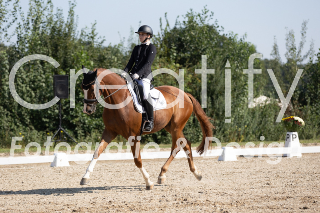 IMG_5523 | Creatify Fotografie