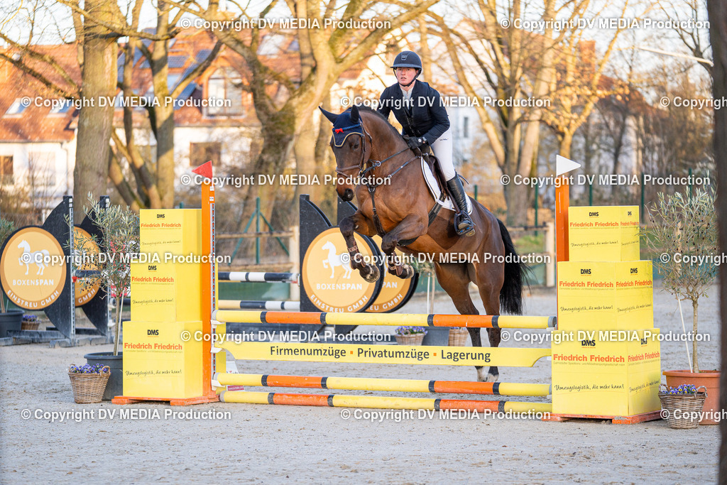 DSC-278 | dv-media-shop - Realisiert mit Pictrs.com