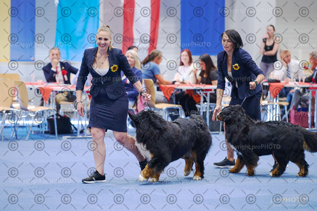 202406_ÖKV-IHA-Tulln24_DSC_2817 | proPHOTO - Realisiert mit Pictrs.com