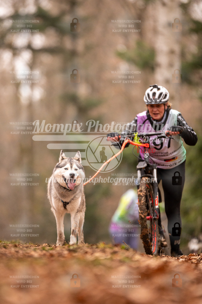 AKM_ST_2023_SAM_Scooter-92 | PayLife