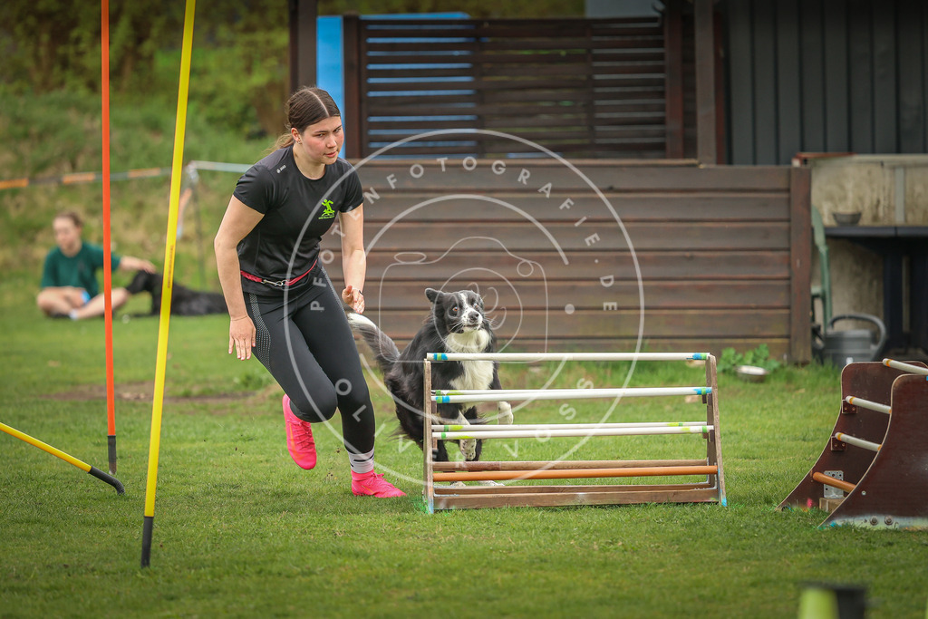 Pfotenfotografie_0L8A0777 | Hundefotografie, Tierfotograf, Pfotenfotografie, Fotoshooting Hund, Hunde Portrait, Hundesport, Hundeportraits, Heideshooting, Hunde, Sportfotograf, Hundefotograf, Turnierhundsport, THS,  - Realisiert mit Pictrs.com