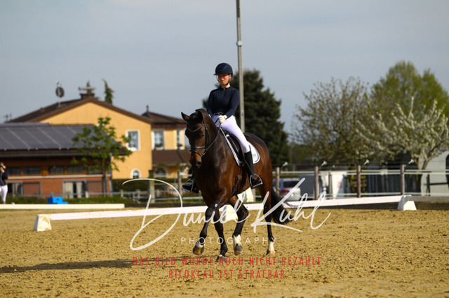 DKP43383 | Turniersportfotografie; Pferdefotografie; Dressurfotografie