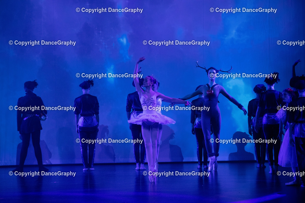 GPHY1717 | DanceGraphy - Realisiert mit Pictrs.com