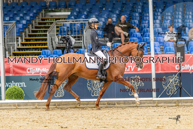 28-8-26 5j DRE-84 | mandyhollmannphotographie