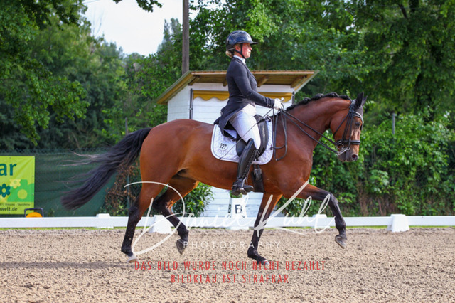 DKP41619 | Turnierfotos kaufen im Webshop von Daniel Kuhl Photography – entdecke professionelle Reitsportfotos aus Turnieren & Events. Hochwertige Turnierbilder online bestellen & sichern. Jetzt Fotos von Reitsportturnieren kaufen!