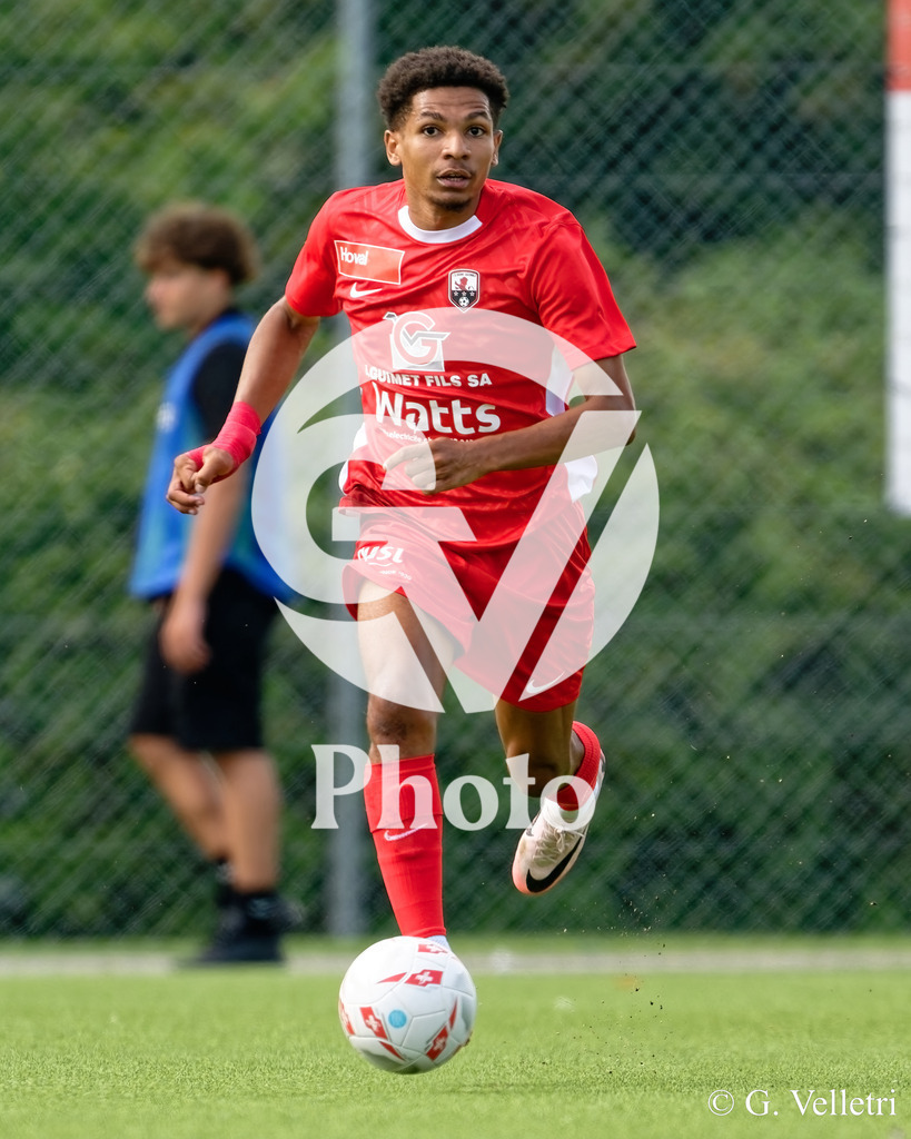 DSC_7141 | Velletri Photo