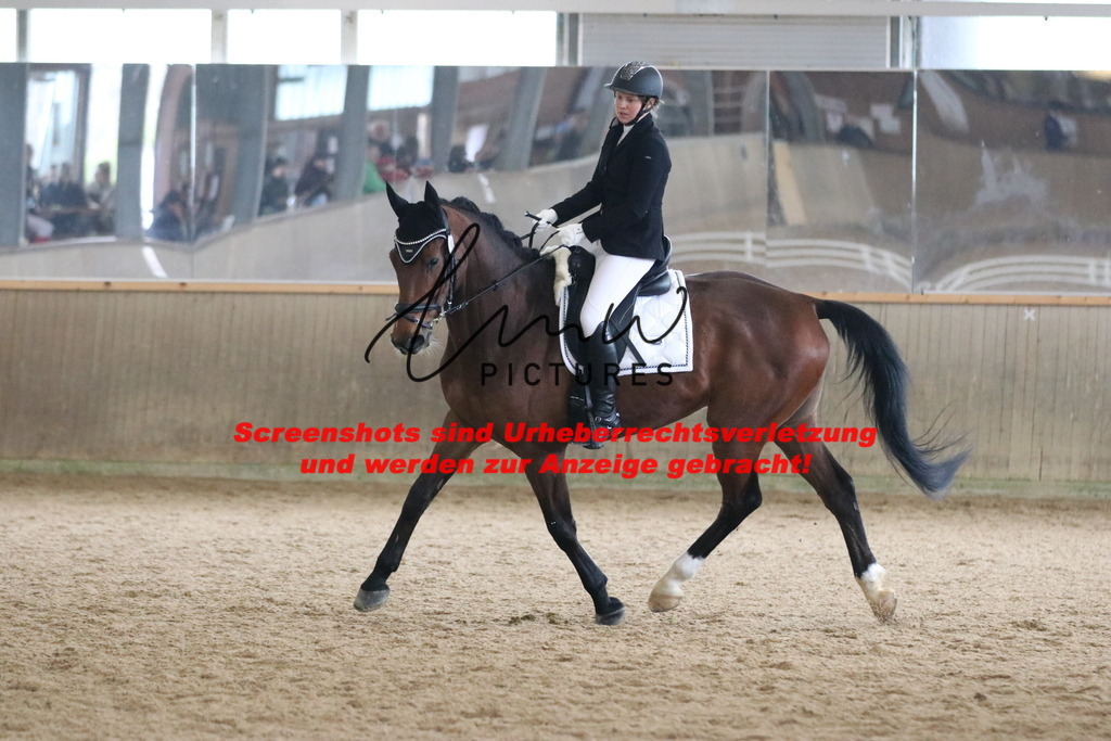 IMG_7337 | lmwpictures - Realisiert mit Pictrs.com