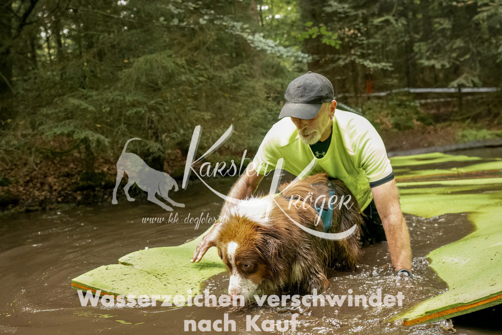 1231_ZZ90103-Bearbeitet | kk-dogfotos