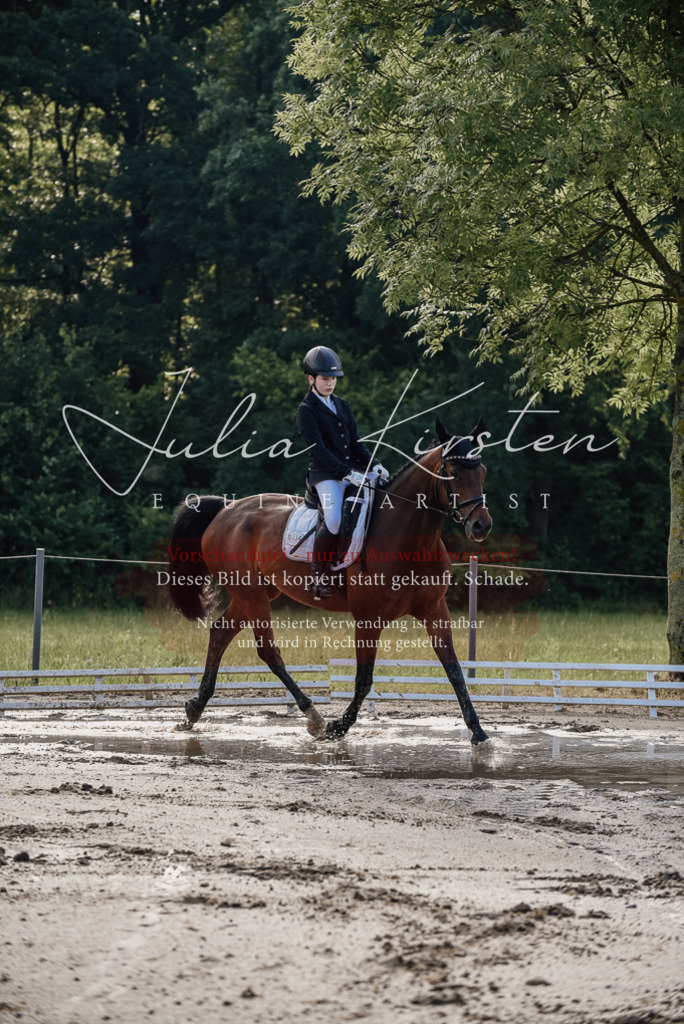 DSC_7913 | Pferde- und Turnierfotografie in Westsachsen. Pferdeportraits, Auftragszeichnungen und intuitive Kunst.