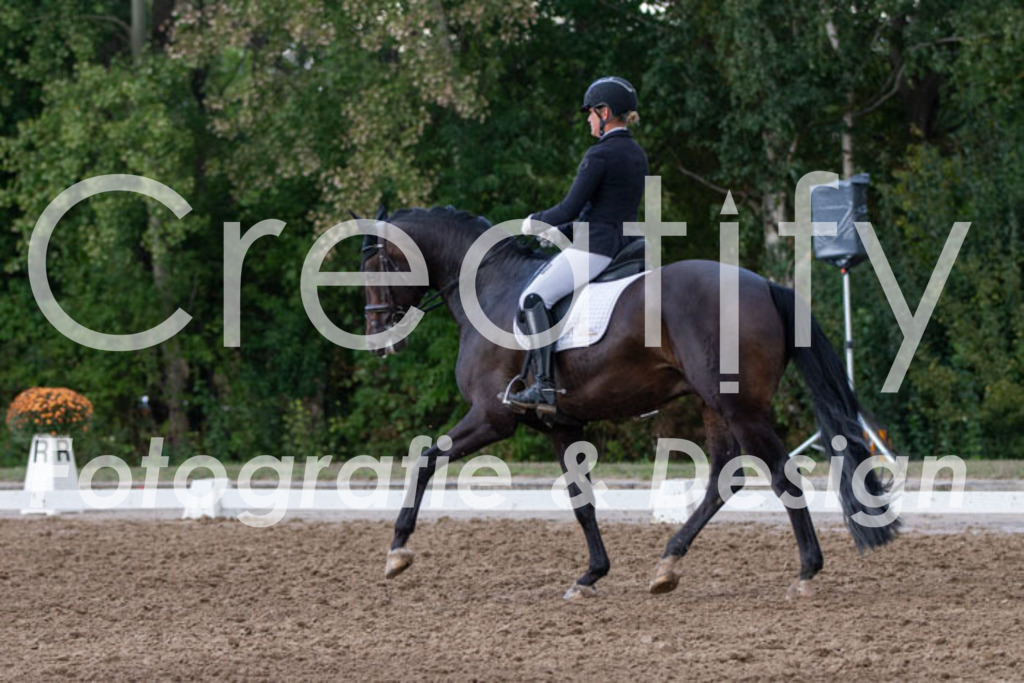 IMG_4386 | Creatify Fotografie