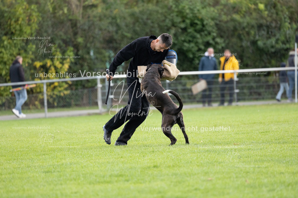 _16A7124 | Einzigartige Fotos von Hunden & Menschen –Actionfotos, Portraits, Vereinsaufnahmen & Paarshootings – authentisch, lebendig & mit Herz.