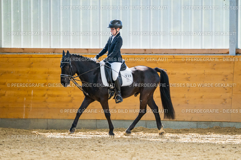 DSC01286 | Pferdegrafie