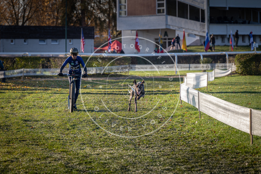 CaniXpix_0L8A3469 | Hundefotografie, Tierfotograf, Pfotenfotografie, Fotoshooting Hund, Hunde Portrait, Hundesport, Hundeportraits, Heideshooting, Hunde, Sportfotograf, Hundefotograf, Turnierhundsport, THS,  - Realisiert mit Pictrs.com