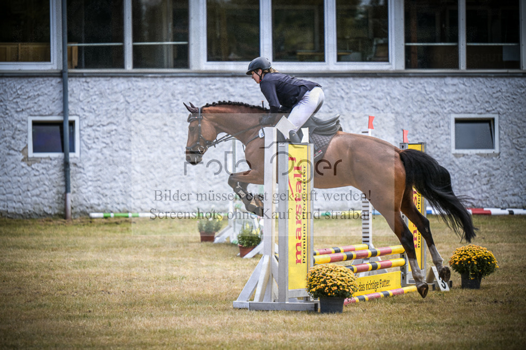 DOS_0175 | Entdecke hochwertige Reitturnierfotos von Foto Oger. Professionell, emotional und authentisch – jetzt Lieblingsmomente im Shop bestellen.Deutschlandweite Turnierfotografie. - Realisiert mit Pictrs.com